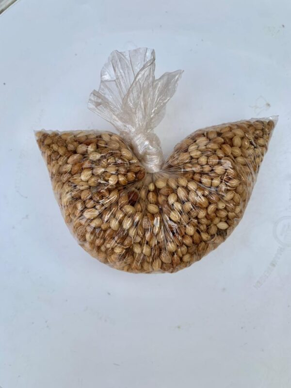 Coriander Seeds