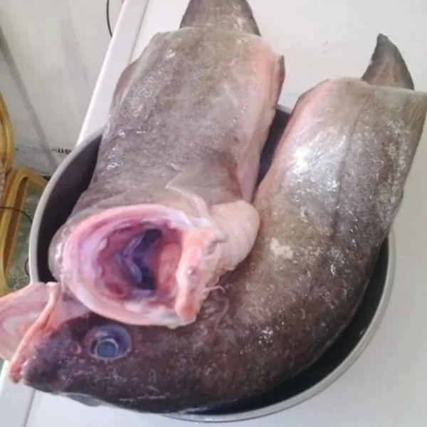 Cod Fish (Amah) - 1KG