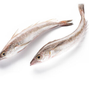 Hake fish ( Kpanla - 25 Plus )- 1KG