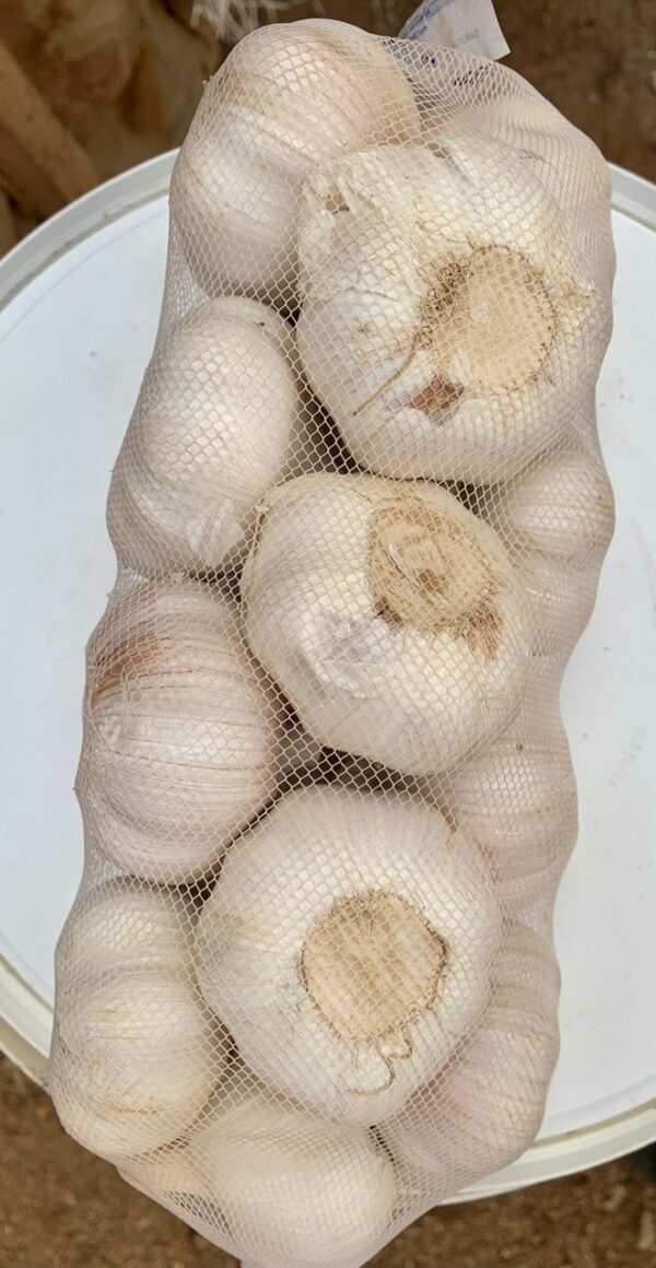 Garlic (Large Pack)