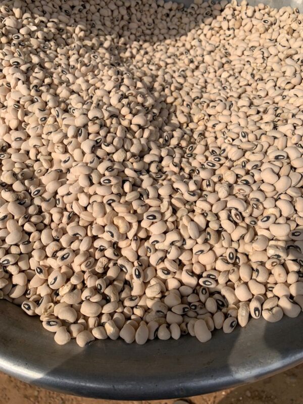 Beans (Nigeria) - Olonka