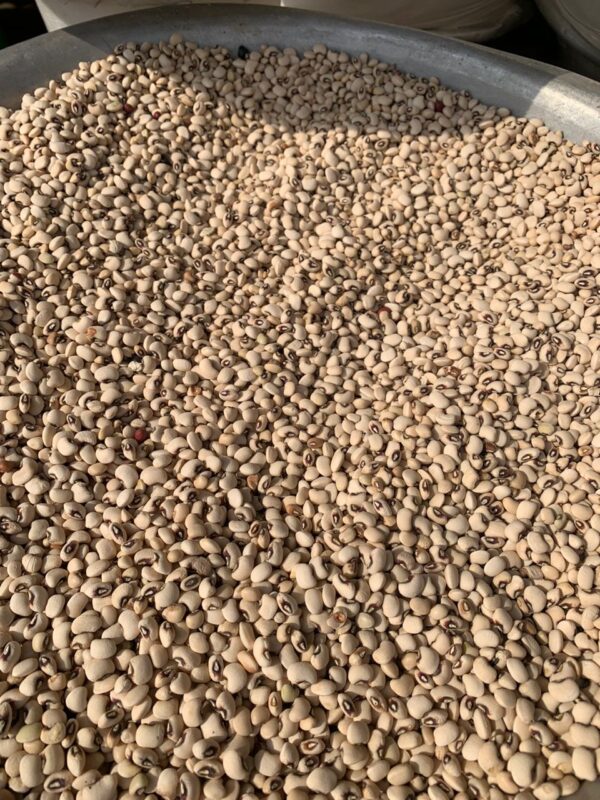 Beans (Burkina) - Olonka